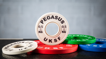 A Guide to Fractional Plates